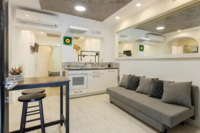 HISTORICAL WORKSHOP APARTMENT - Fico